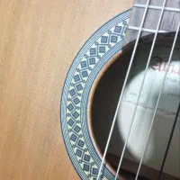 ALHAMBRA 2F|گیتار، بیس، امپلیفایر|شیراز, معالی‌آباد|دیوار
