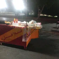 گاری فلافلی