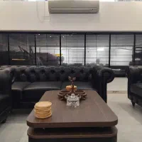 دنیای زبرا،ورتیکال،فلزی