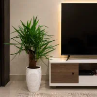 دفترکار-حاشیه-احمدآباد-دونبش