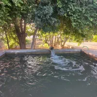 زمین باغ شهری ظفراباد|فروش زمین و ملک کلنگی|شیراز, ظفرآباد|دیوار