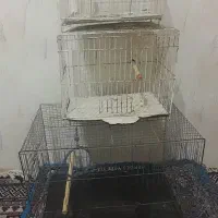 چند قفس و لوازم