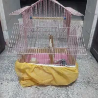 قفس پرنده