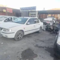 سمند تصادفی