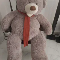 خرس بزرگ