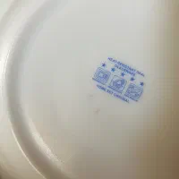 ارکوپال اصل فرانسه|ظروف سرو و پذیرایی|اصفهان, ارغوانیه|دیوار