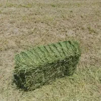 یونجه درجه  یک خشک  ۴۰ تومن