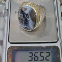 شجر خوشگل|جواهرات|یزد, |دیوار