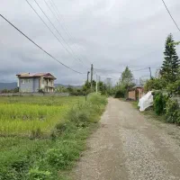 مسکونی-جواز-ساخت-سند-ششدانگ-دالیخانی-رامسر