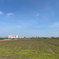 زمین-در-منطقه-ازاد-انزلی