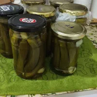 خیارشورخانگی