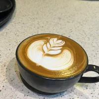 استخدام باریستا