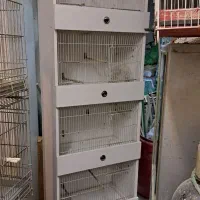 قفس کمدی قناری|لوازم جانبی حیوانات|تهران, جمال‌زاده|دیوار