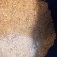 تخم نارنج فروشی