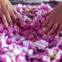 گلاب و عرقیات طبیعی و ارگانیک|عمده‌فروشی|تهران, جردن|دیوار