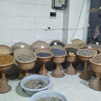 سبد حصیری