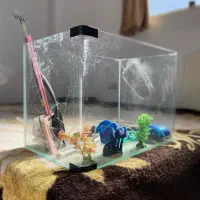 آکواریوم شیشه منحنی