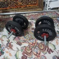 دوعدد دمبل مارک رکورد نونو اهنی ۲۰ کیلویی|تجهیزات ورزشی|هشتگرد, هشتگرد قدیم|دیوار