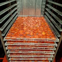 فروش خط تولید میوه خشک|فروشگاه و مغازه|اردبیل, |دیوار