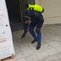 سمپاشی تضمینی ساس سم گال سم پاشی موش کک سوسک کنه|خدمات نظافت|کرج, گلشهر|دیوار