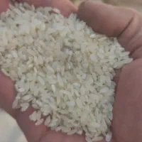 برنج کامفیروز