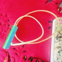 اکواریوم|ماهی|ساروق, |دیوار