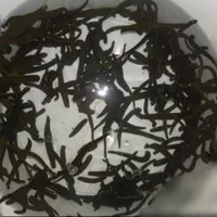 زالو بهداشتی|آرایشی، بهداشتی، درمانی|گرگان, |دیوار