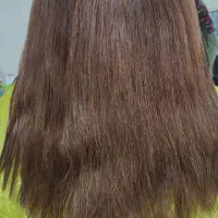 موخوره گیری روسی با آفر محدود