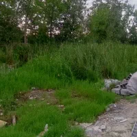 فروش ۲۰۰ متر زمین مسکونی
