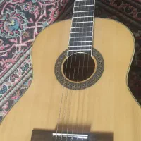 گیتار جیانینی