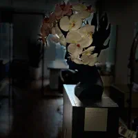 استخدام کوپ کار حرفه ای وبا تجربه|استخدام درمانی، زیبایی، بهداشتی|تهران, میرداماد|دیوار