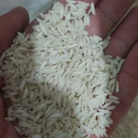 برنج هاشمی درجه ۱|خوردنی و آشامیدنی|تهران, شهید رجایی|دیوار