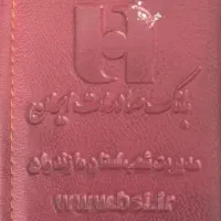 کیف مدارک گمشده به نام هادیان