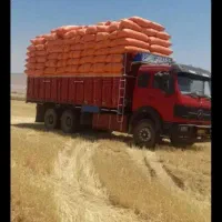 فروش کاه دیم درجه ا کردستان کیلویی15هزار ب شرط