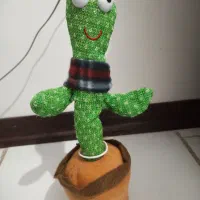 کاکتوس سخنگو