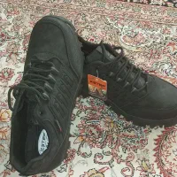 کفش نوع مردانه ای