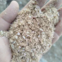 سبوس و کنسانتره پروار