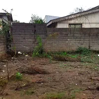 زمین سنددار زیبا کنار ۳۲۴ متری|فروش زمین و ملک کلنگی|لشت نشا, |دیوار