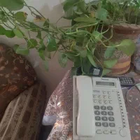 گوشی تلفن سانترال|تلفن رومیزی|قم, میرزائیه|دیوار