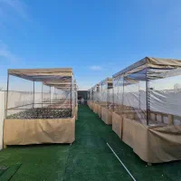 آلاچیق اماده