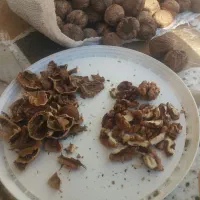 گردو با مغز فسنجانی درجه ۱