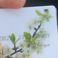 گمشده|اشیا|کرج, شاهین‌ویلا|دیوار