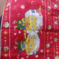 روبالش یک جفت