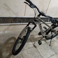 دوچرخه طوطی