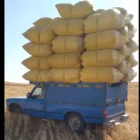 کاه گندم تحویل در محل شما