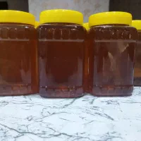 عسل گون و چهل گیاه|خوردنی و آشامیدنی|بندر ماهشهر, |دیوار