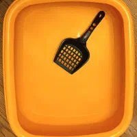 ظرف غذا و ظرف خاک گربه