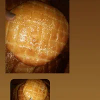 کلوچه و حلوا مغزی