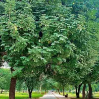 زمین-فروشی-تجاری-مسکونی-کارگاهی