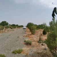 ۸۵۰متر سند تکبرگ با نهال تزئینی شاهنامه۶۷|فروش خانه و ویلا|مشهد, توس فردوسی|دیوار